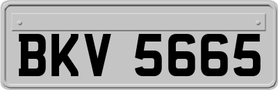 BKV5665