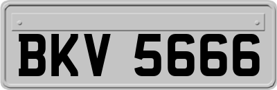 BKV5666
