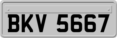 BKV5667
