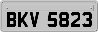 BKV5823
