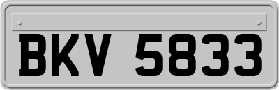 BKV5833