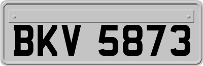 BKV5873