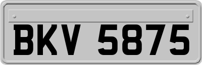 BKV5875