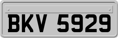 BKV5929