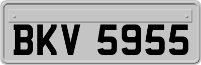 BKV5955