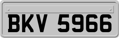 BKV5966