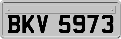 BKV5973