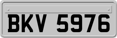 BKV5976
