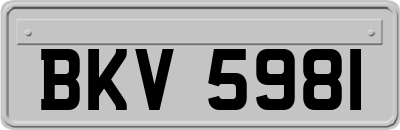 BKV5981