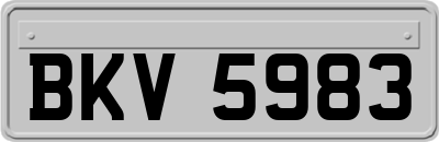 BKV5983
