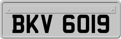 BKV6019