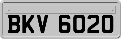 BKV6020