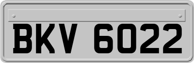 BKV6022