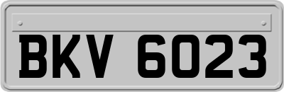 BKV6023
