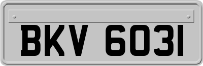 BKV6031