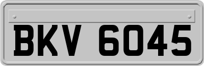 BKV6045