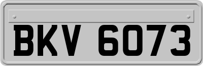 BKV6073