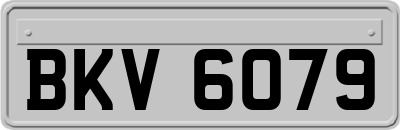BKV6079