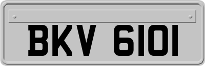 BKV6101