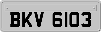 BKV6103