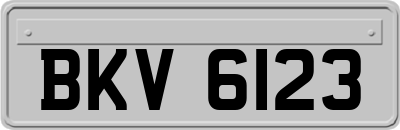 BKV6123