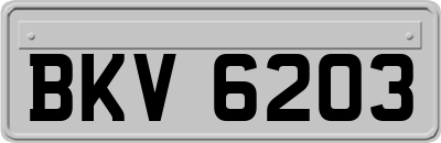 BKV6203