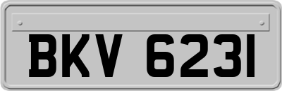 BKV6231
