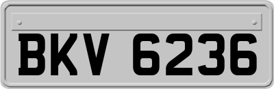 BKV6236