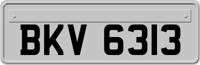 BKV6313