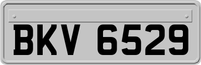 BKV6529
