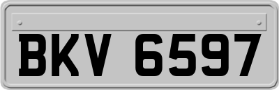 BKV6597