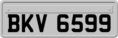BKV6599
