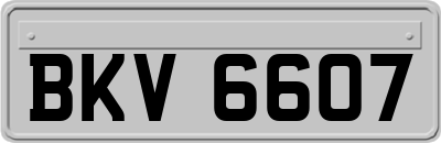 BKV6607
