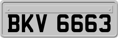 BKV6663