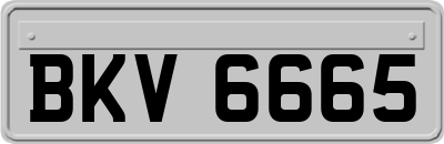BKV6665