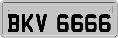BKV6666