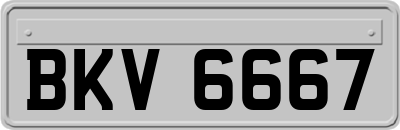 BKV6667