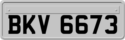 BKV6673