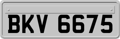BKV6675