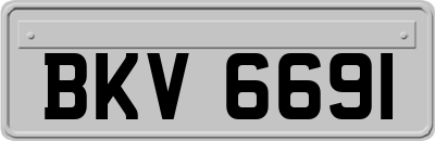 BKV6691