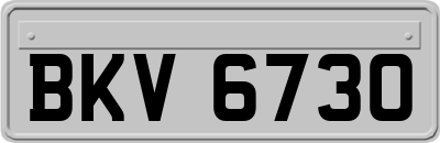 BKV6730