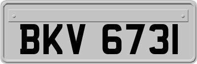 BKV6731