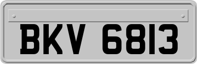BKV6813