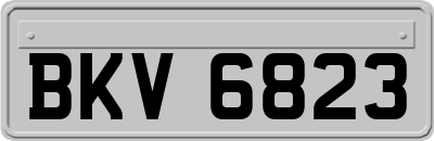 BKV6823