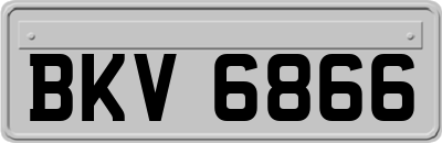BKV6866