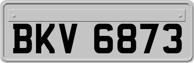BKV6873