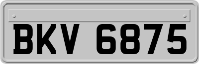 BKV6875