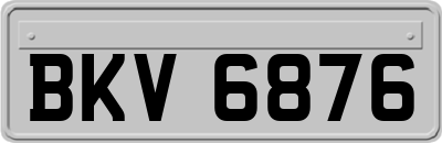 BKV6876