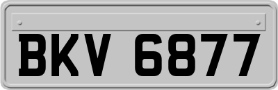 BKV6877