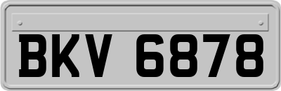 BKV6878